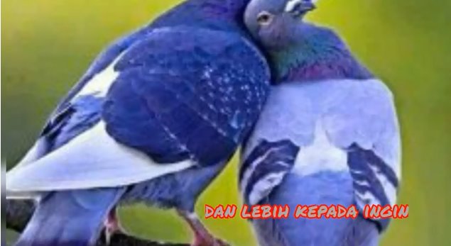 Video 30 Detik Bukan Sekedar Ingin Memilikimu